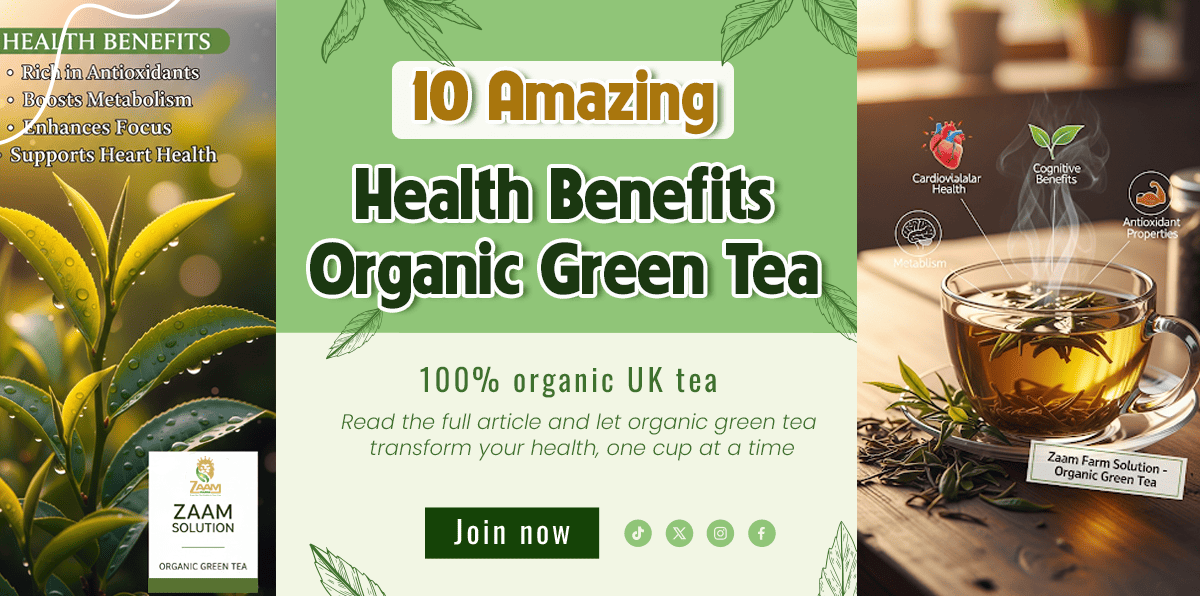 banner 10 Amazing Health Benefits of Organic Green Tea