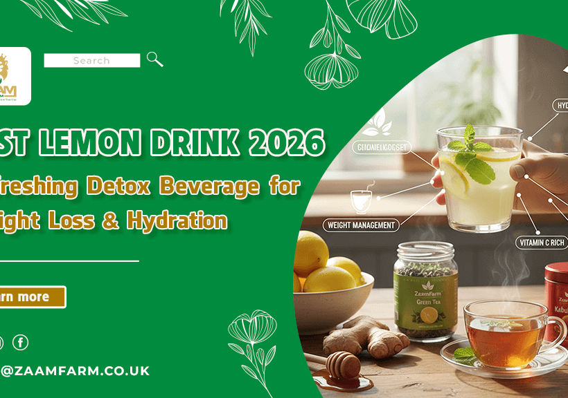 Best Lemon Drink 2026