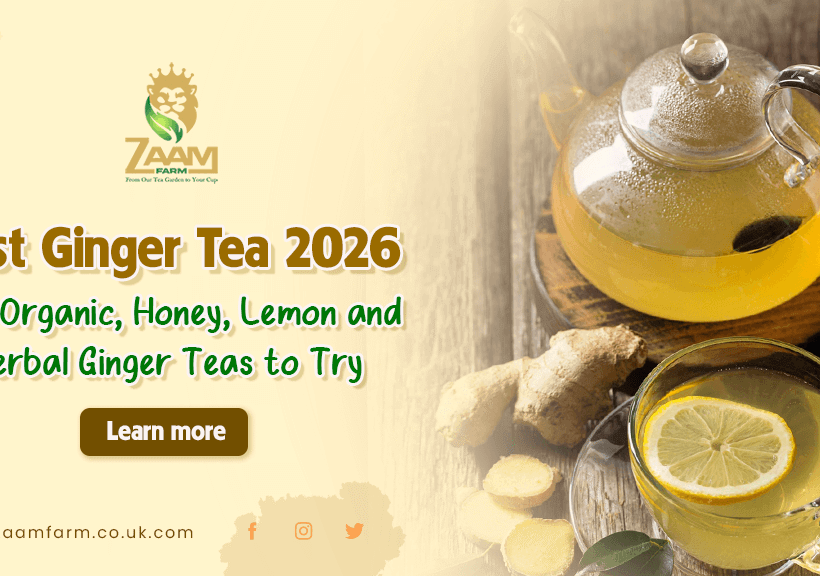 Best Ginger Tea 2026