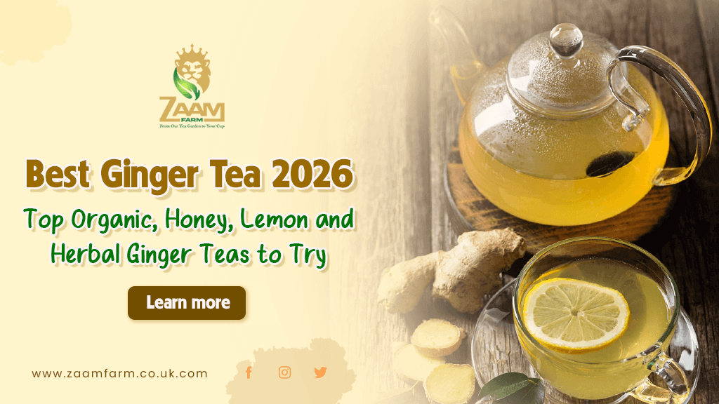 Best Ginger Tea 2026