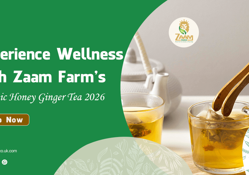 honey ginger tea 2026