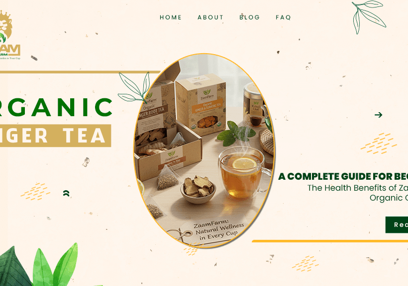 Organic Ginger Tea: A Complete Guide for Beginners