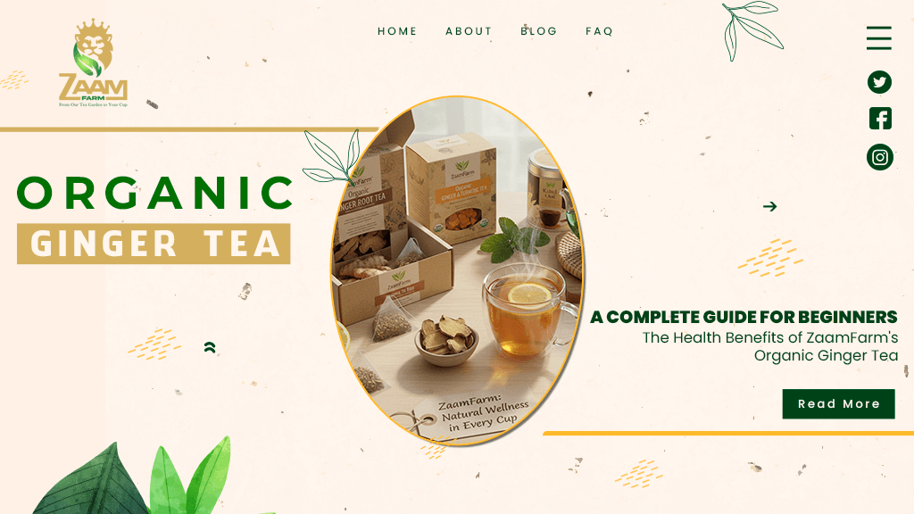 Organic Ginger Tea: A Complete Guide for Beginners