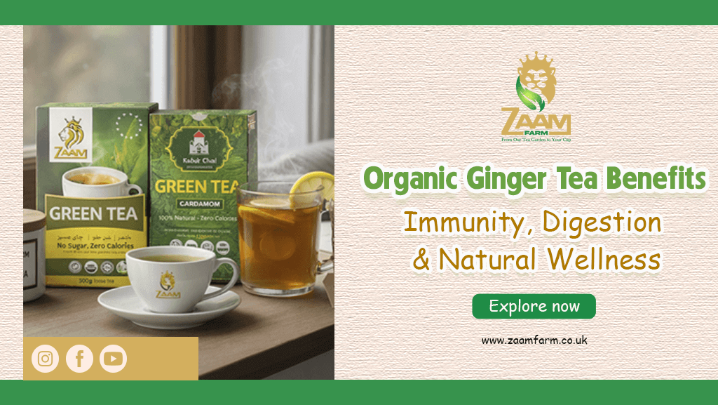 Organic Ginger Tea Benefits