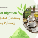 banner Best Tea for Digestion