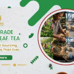 banner Fair Trade Loose Leaf Tea