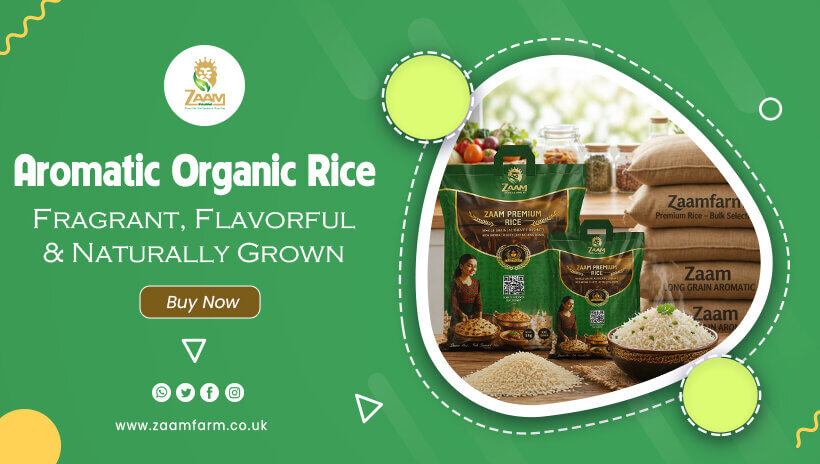 Aromatic Organic Rice – Fragrant, Flavorful & Naturally Grown