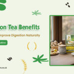 Ginger Lemon Tea Benefits banner