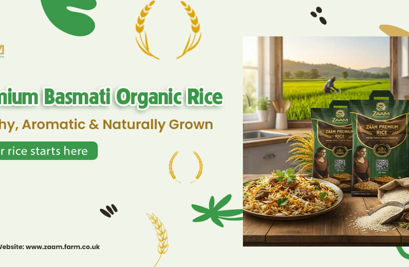 Premium Basmati Organic Rice banner