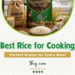 banner Best Rice for Cooking